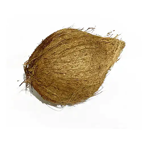 Coconut Dry 500g India
